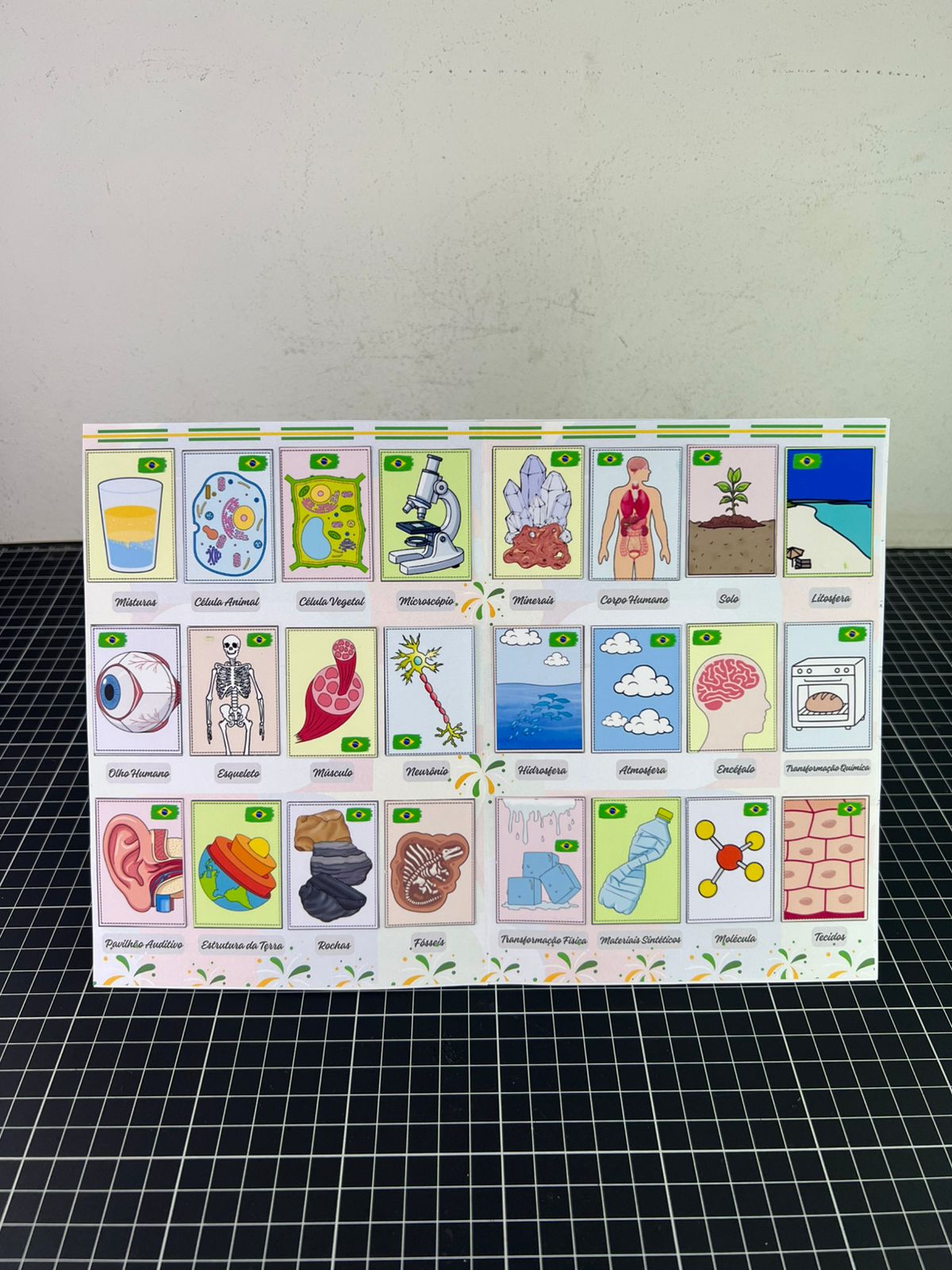 Álbum de Figurinhas Científicas - 6º ano - Imagem 6