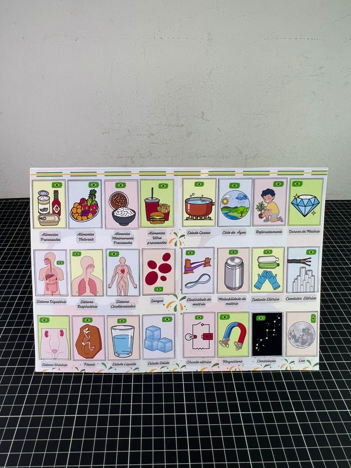 Álbum de Figurinhas Científicas - 5º ano - Imagem 6