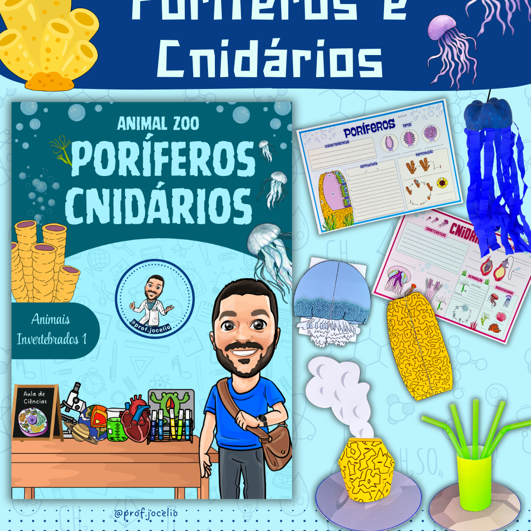 Animal Zoo: Poríferos e Cnidários