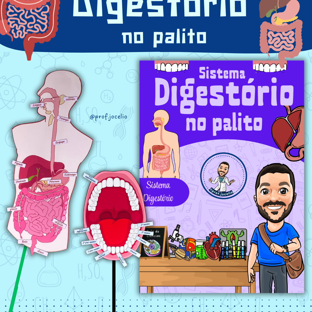 Sistema Digestório no palito