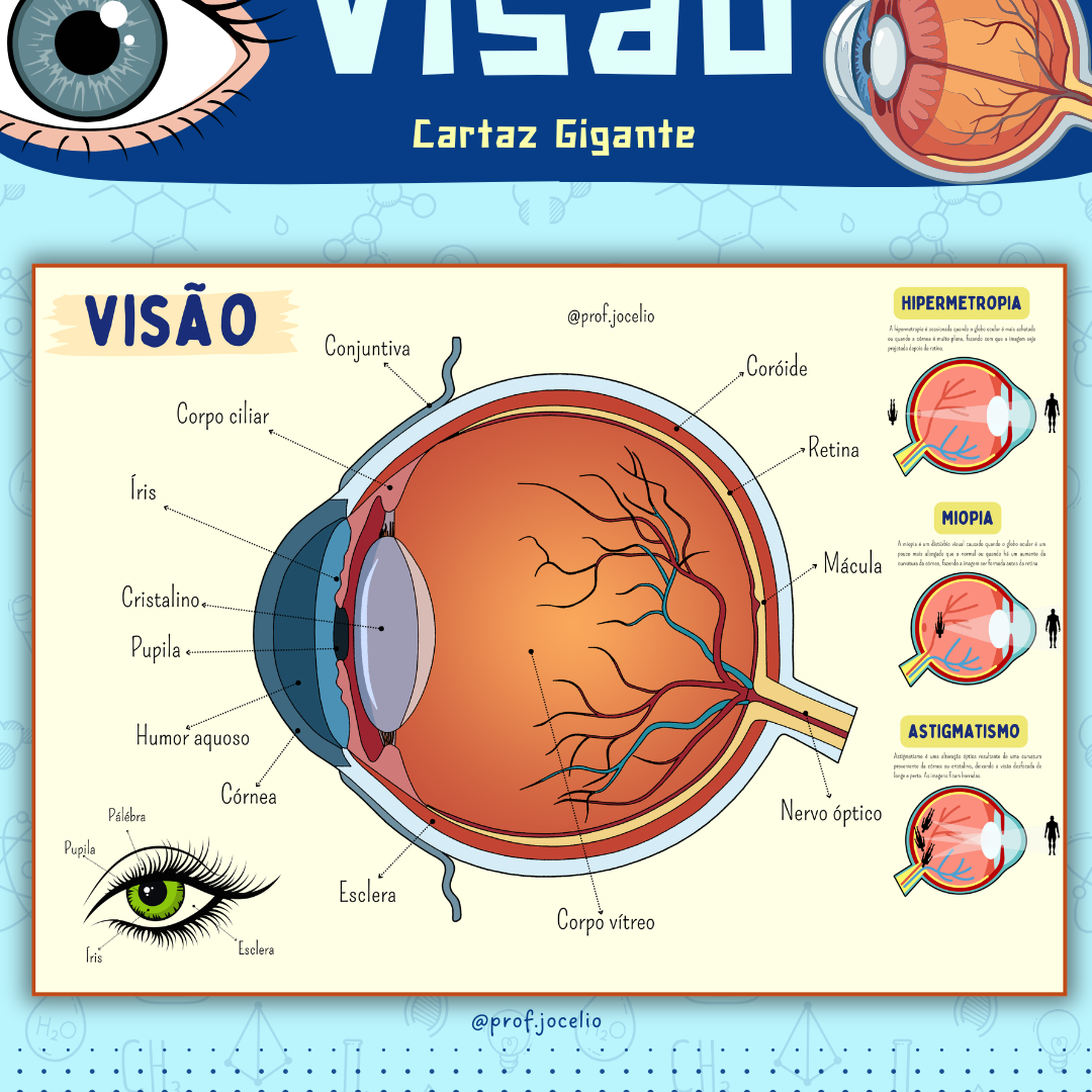 Visão - Cartaz Gigante