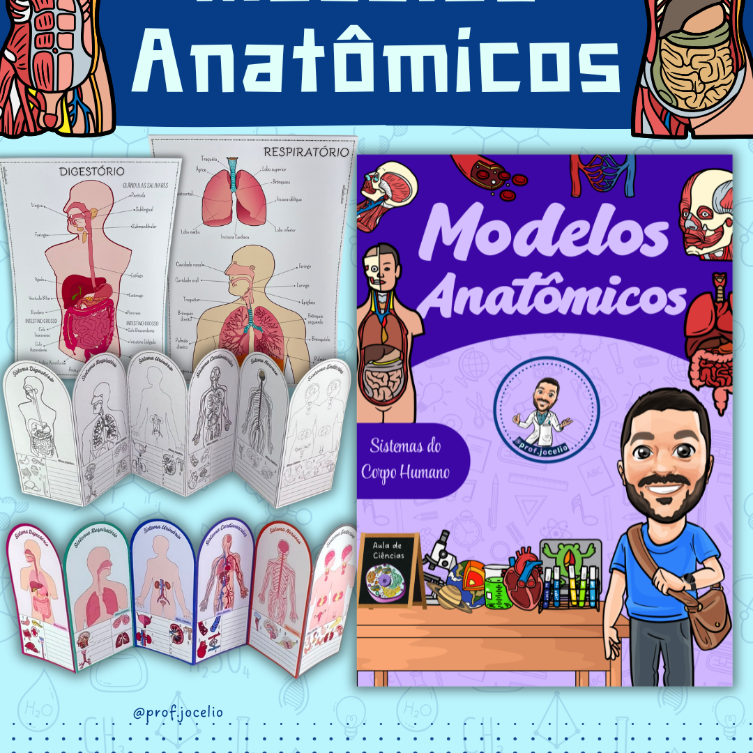 Modelos Anatômicos