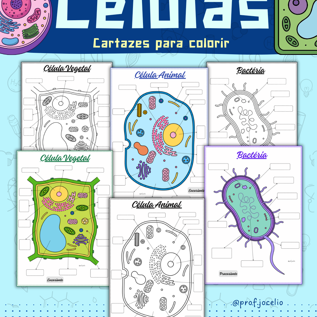 Células - Cartazes para Colorir