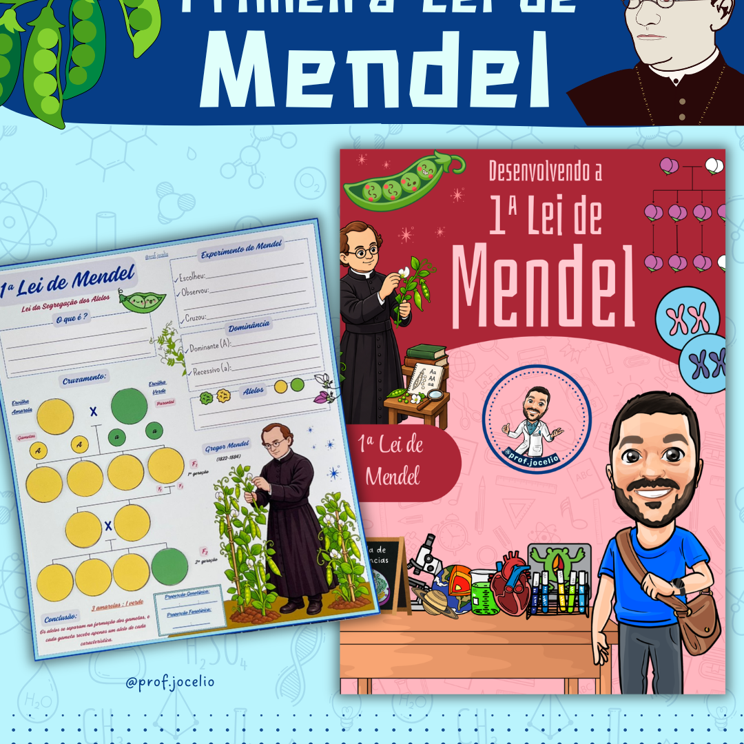 Desenvolvendo a 1ª Lei de Mendel
