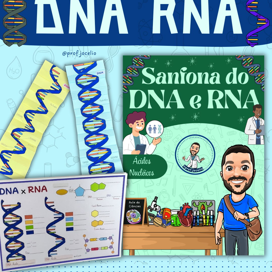 Sanfona do DNA e RNA