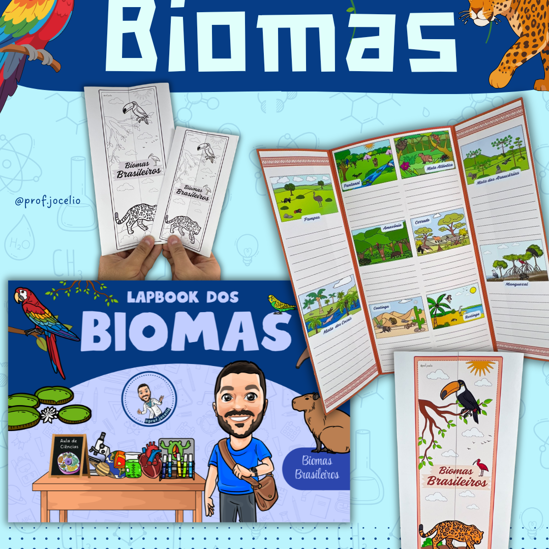 Lapbook dos Biomas Brasileiros !