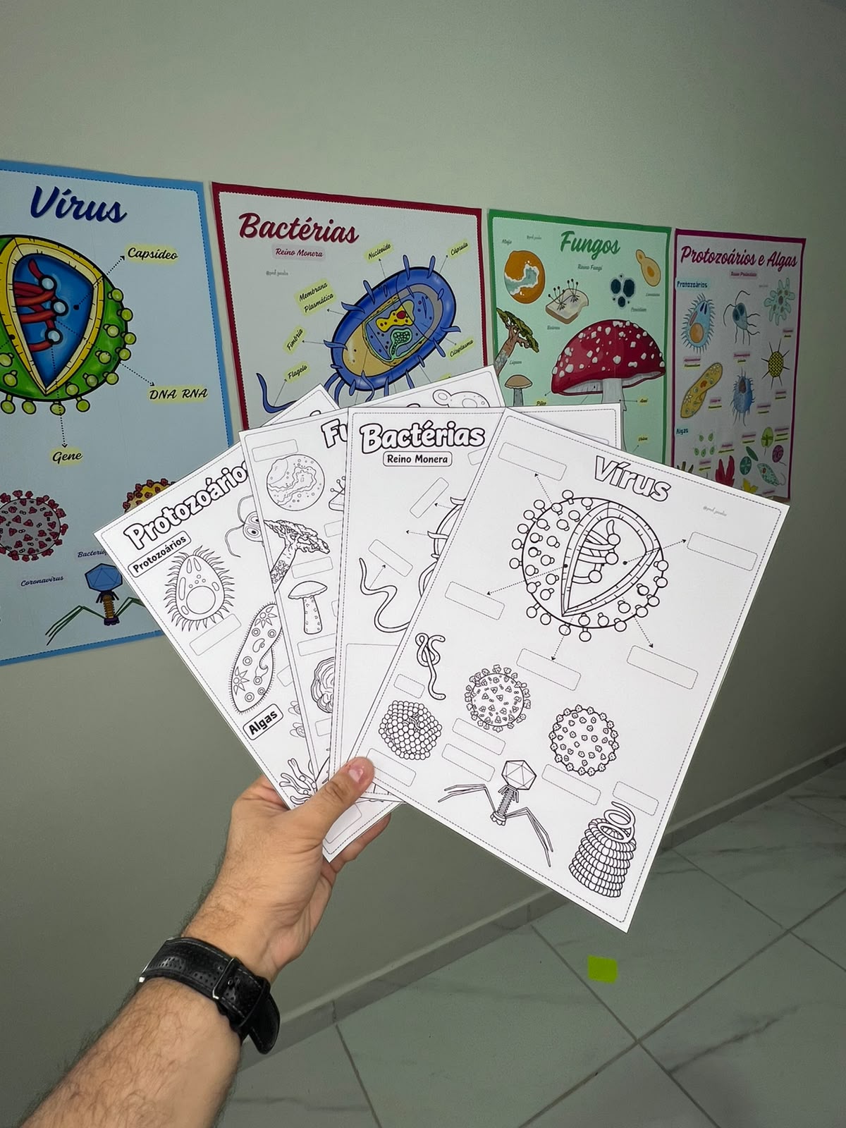 Microrganismos - Cartazes - Imagem 6