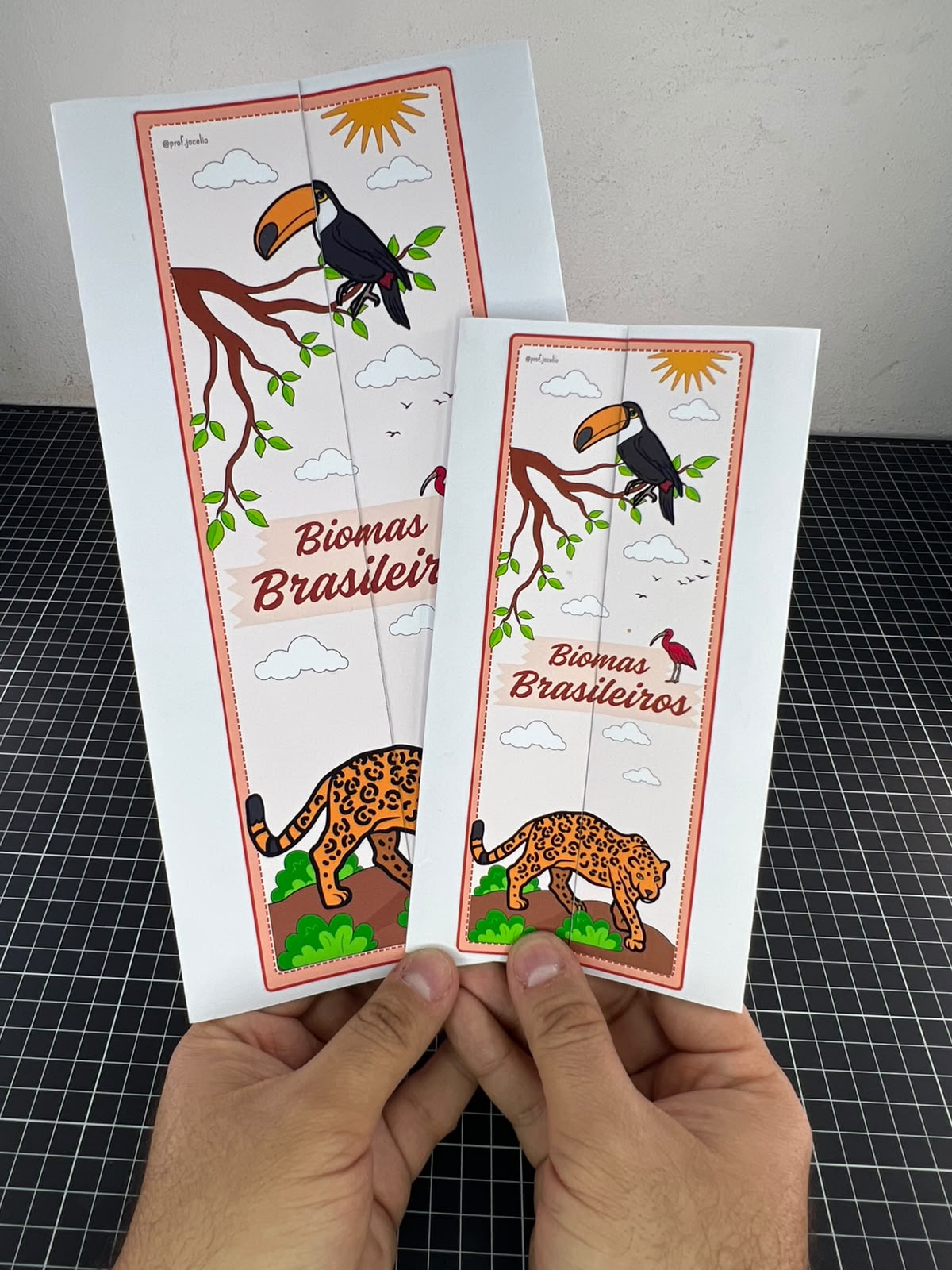 Lapbook dos Biomas Brasileiros ! - Imagem 7