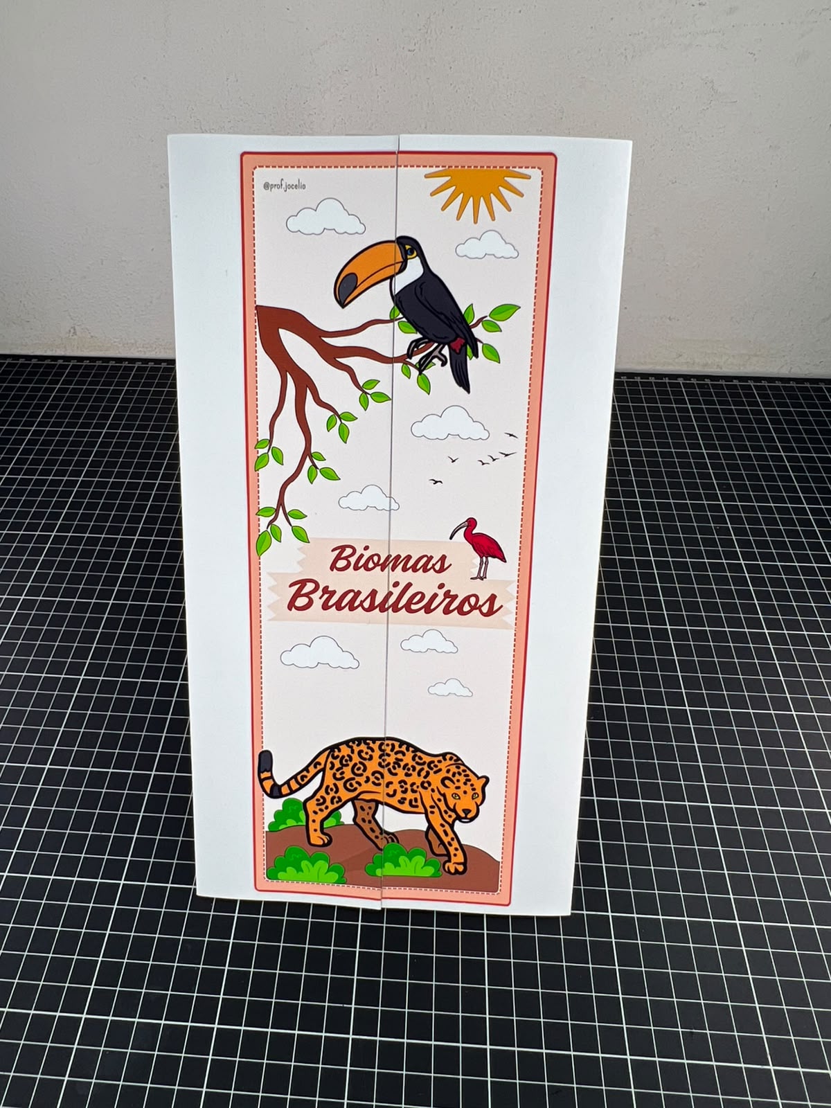 Lapbook dos Biomas Brasileiros ! - Imagem 6