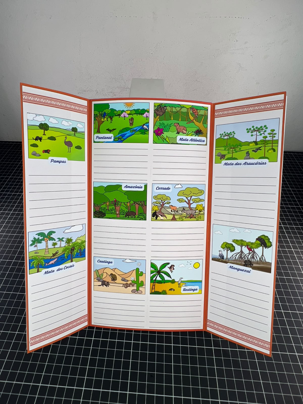 Lapbook dos Biomas Brasileiros ! - Imagem 5