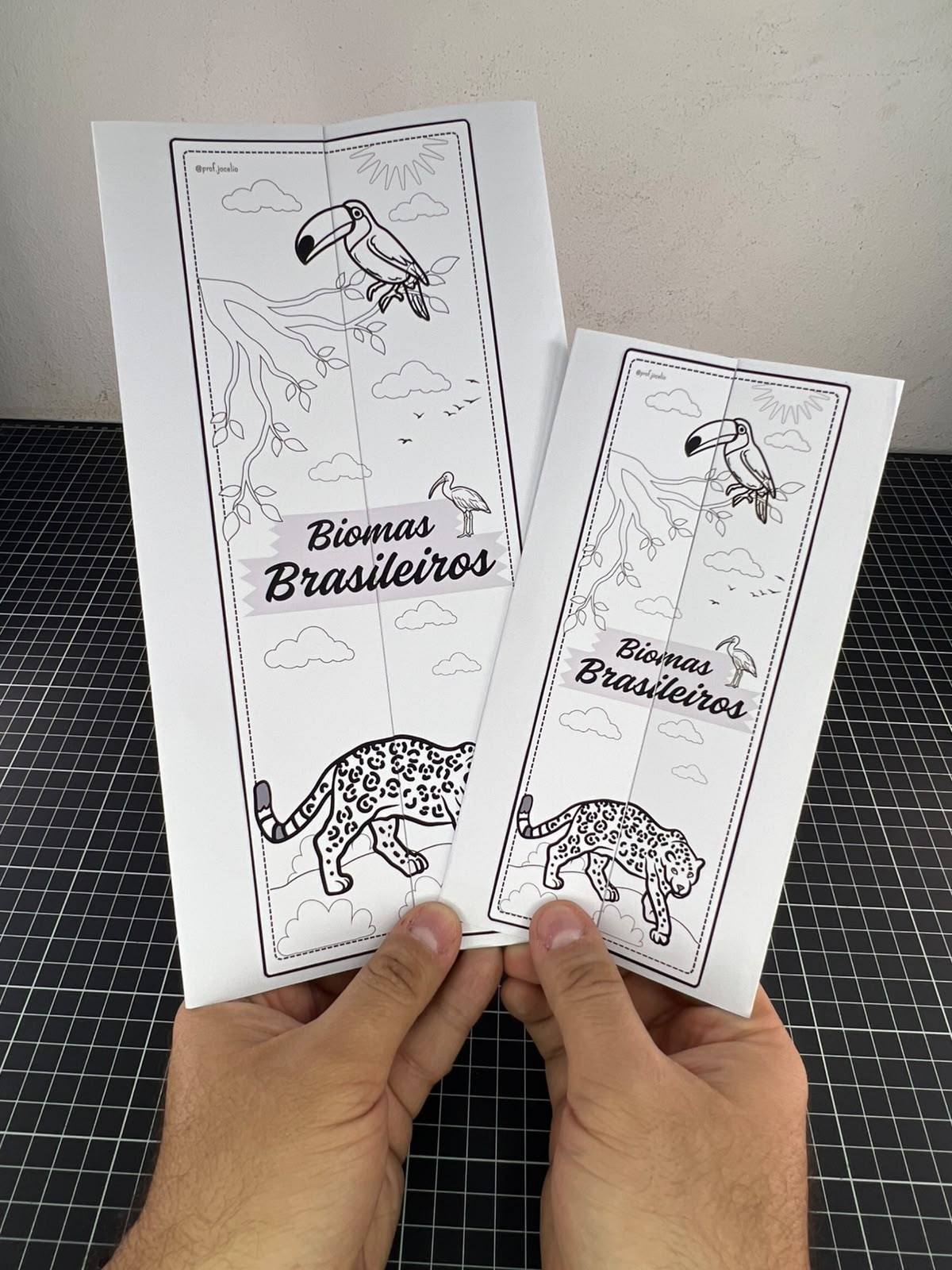 Lapbook dos Biomas Brasileiros ! - Imagem 4