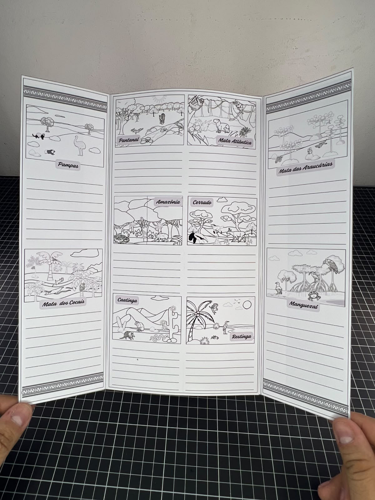 Lapbook dos Biomas Brasileiros ! - Imagem 2