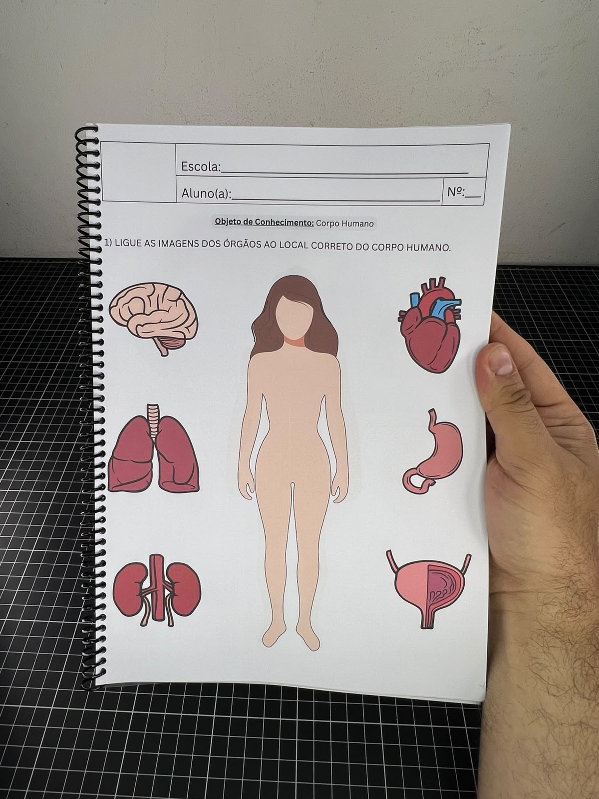 Portfólio com Atividades Adaptadas de Ciências - Imagem 13