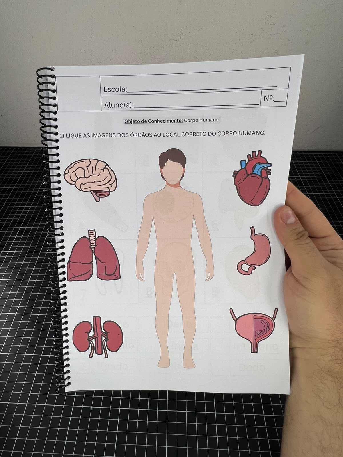 Portfólio com Atividades Adaptadas de Ciências - Imagem 12