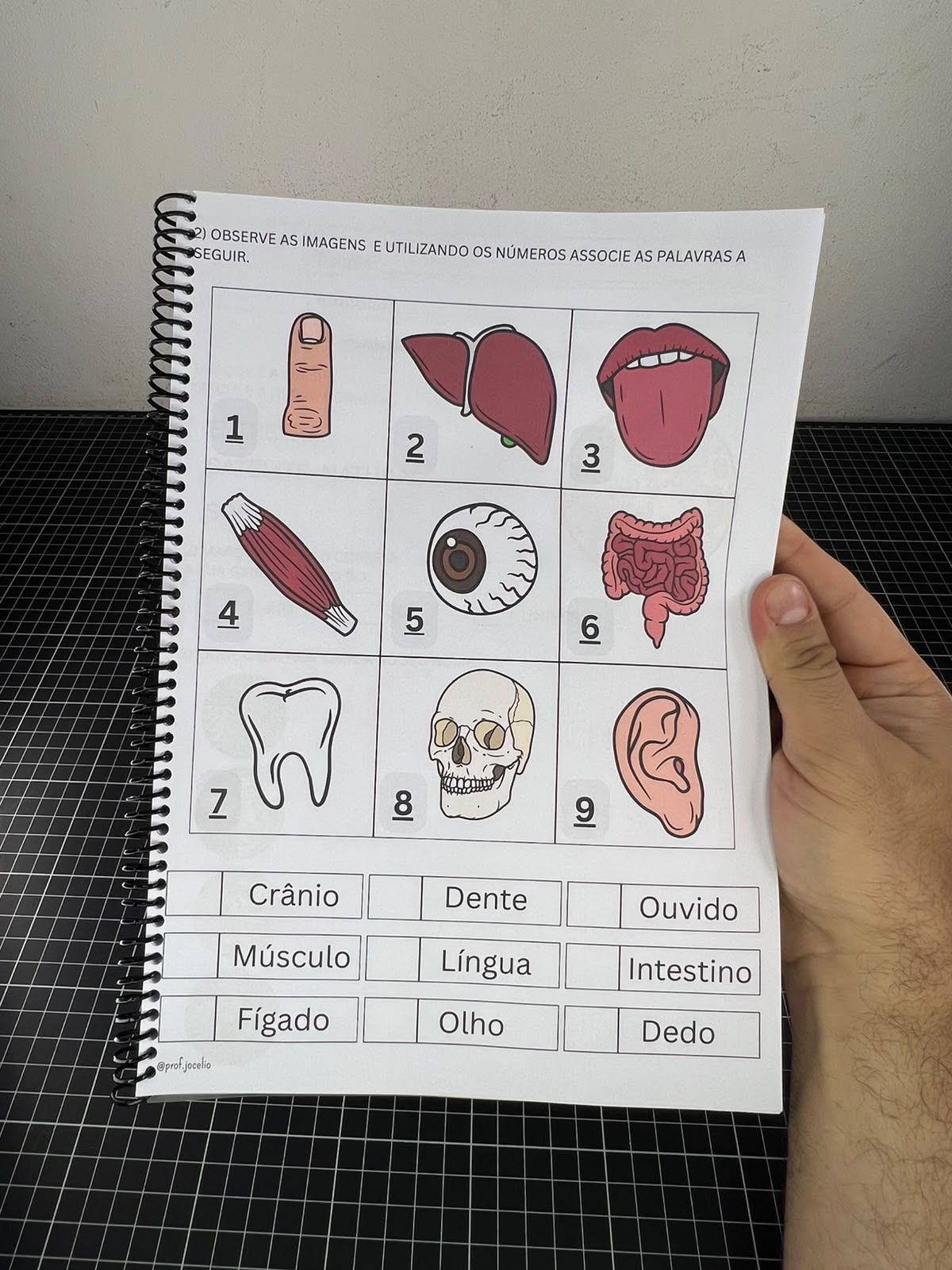 Portfólio com Atividades Adaptadas de Ciências - Imagem 11