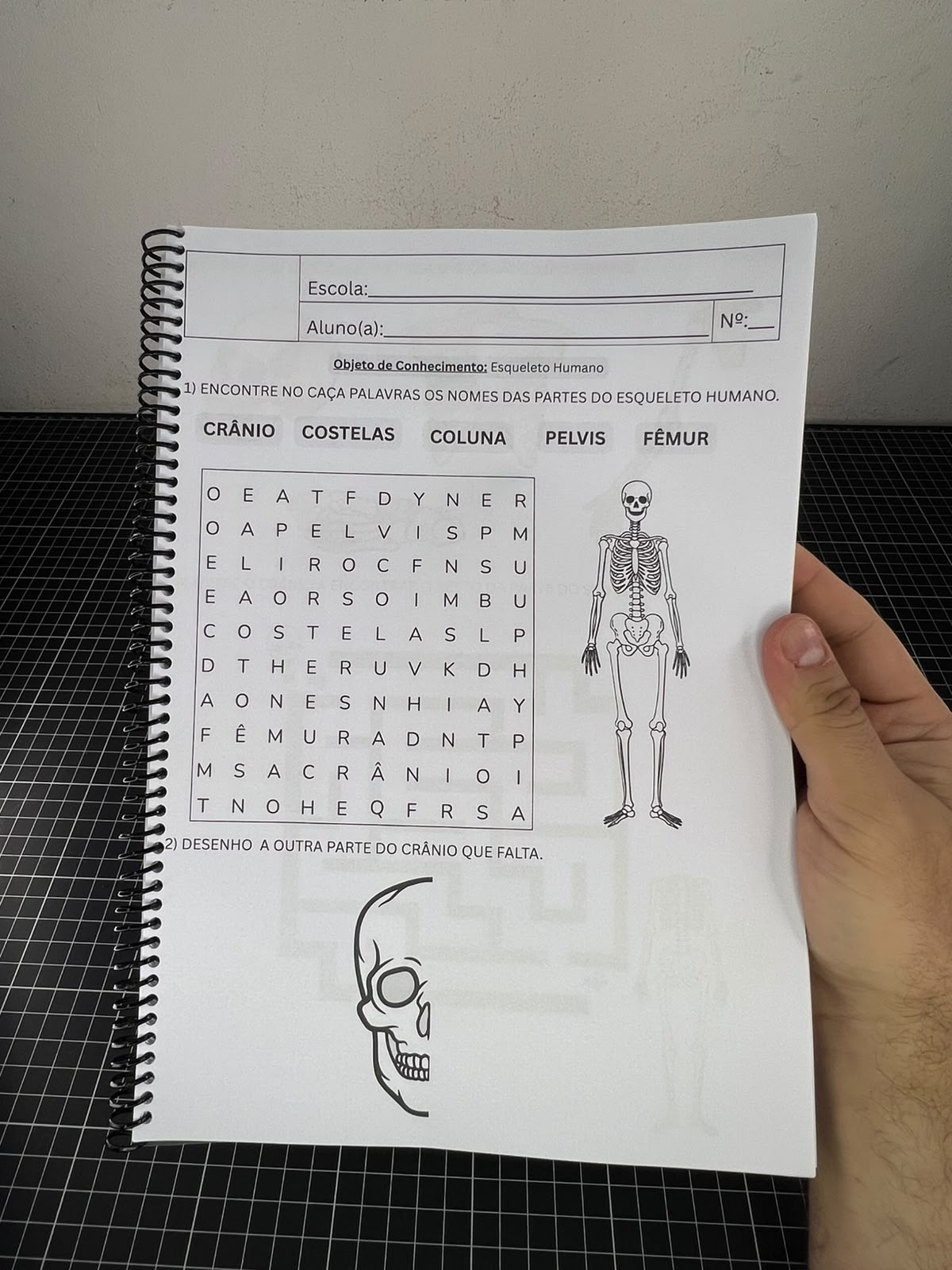 Portfólio com Atividades Adaptadas de Ciências - Imagem 5
