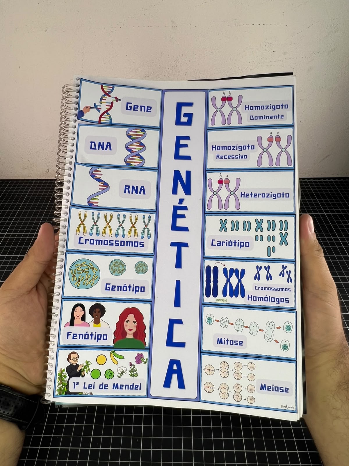Flipbook Genético - Imagem 3