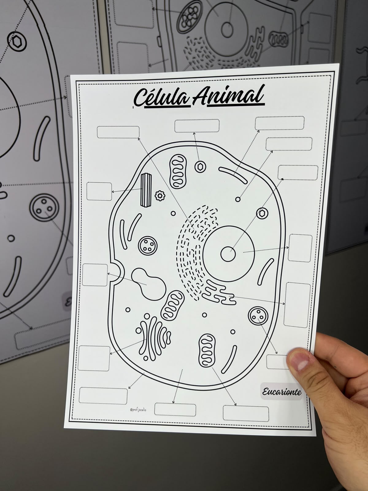 Células - Cartazes para Colorir - Imagem 16