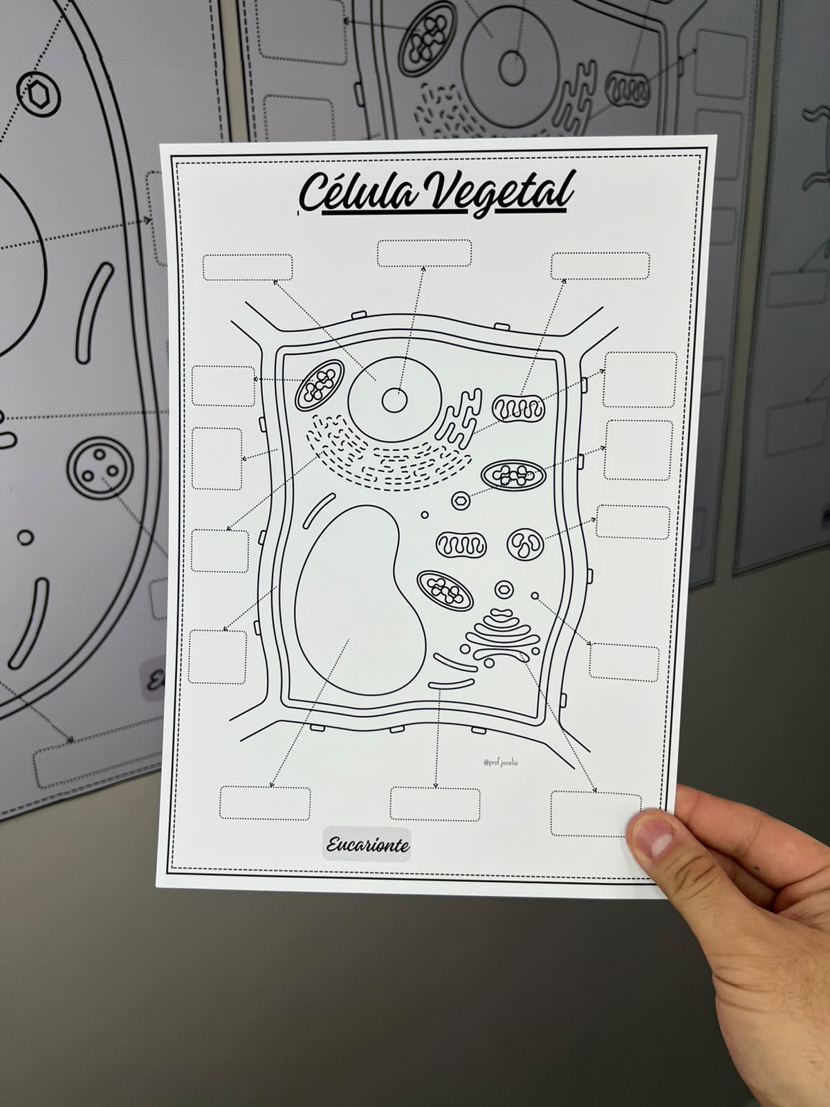 Células - Cartazes para Colorir - Imagem 15