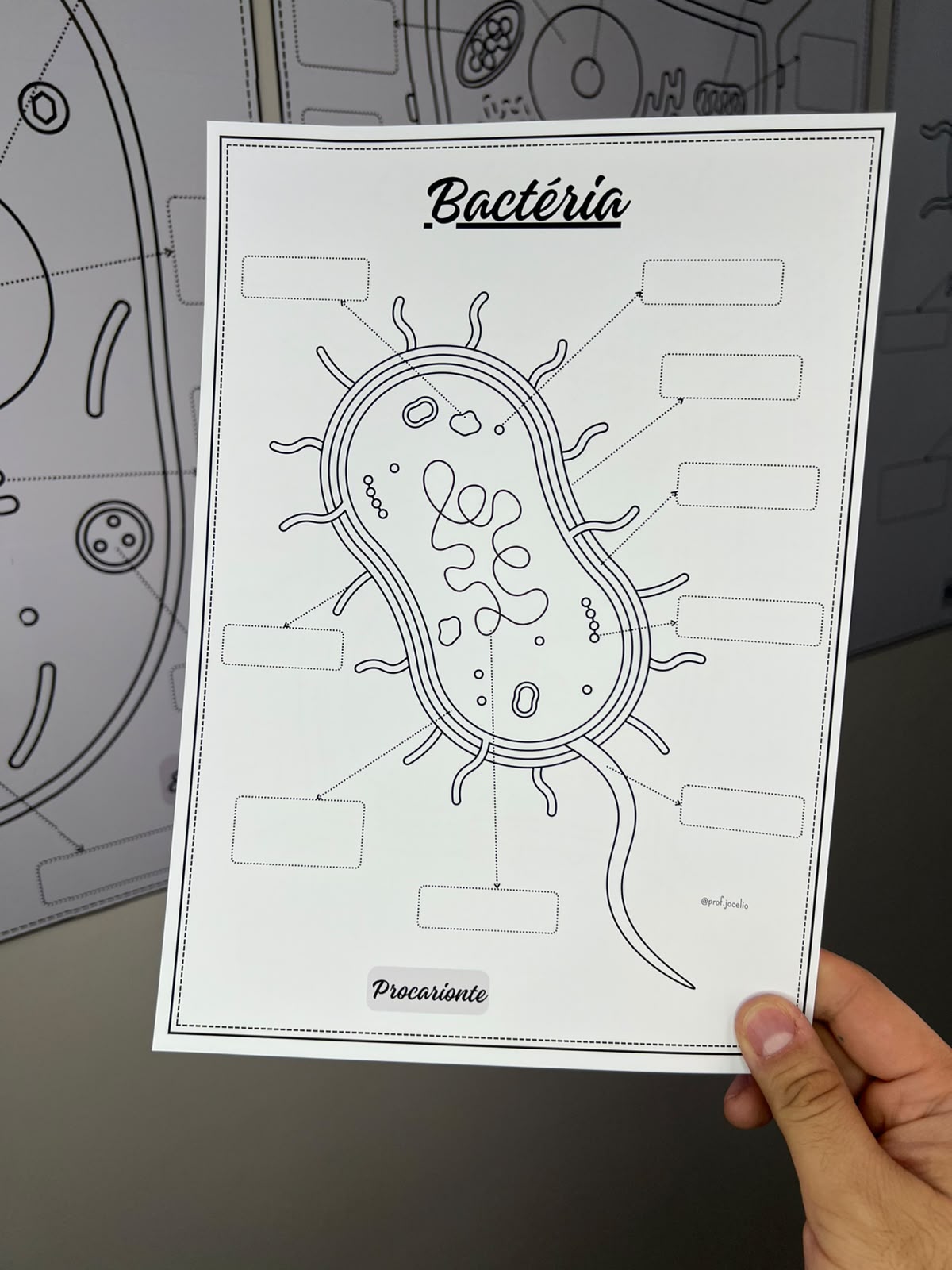 Células - Cartazes para Colorir - Imagem 14