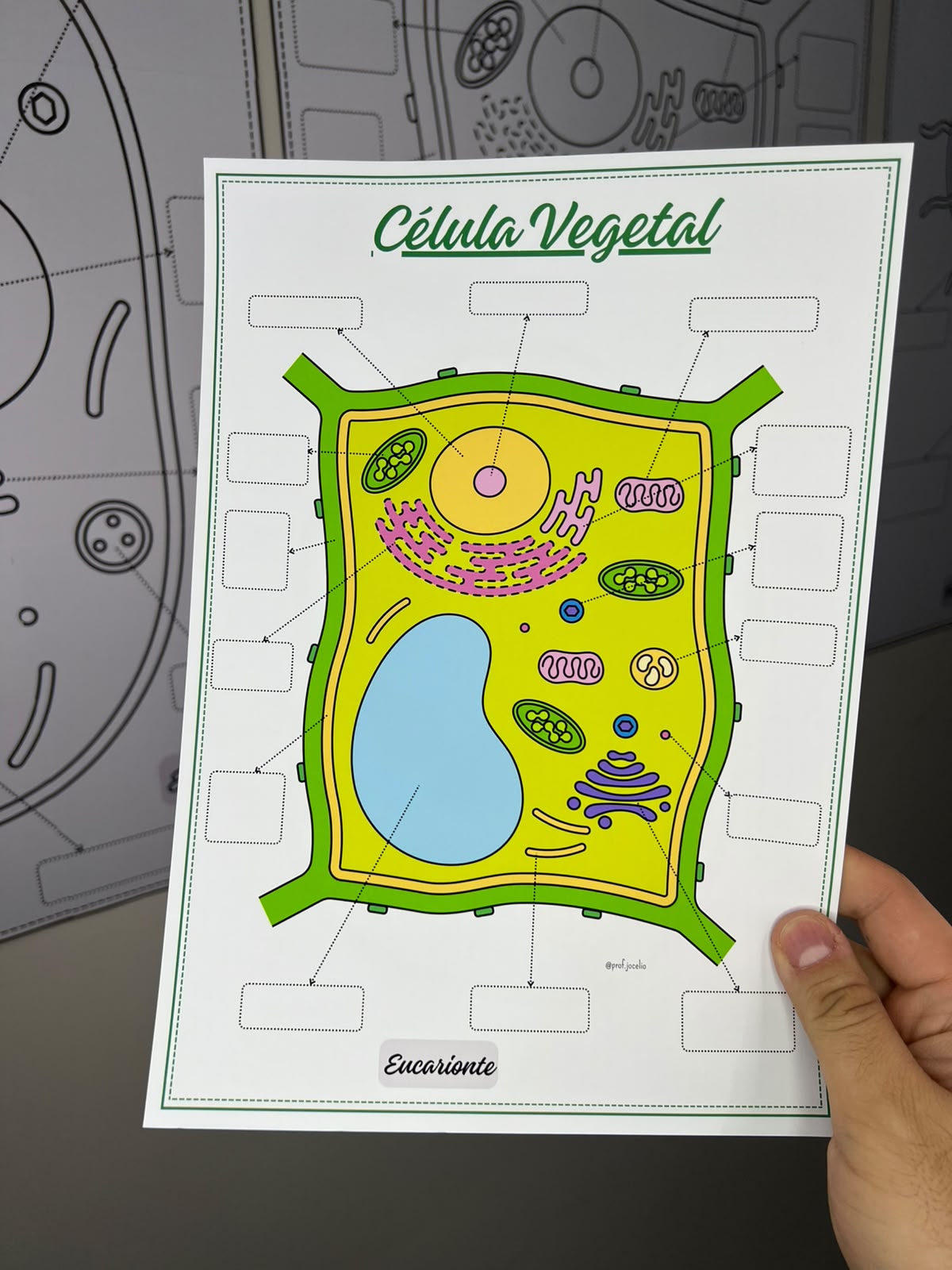 Células - Cartazes para Colorir - Imagem 13