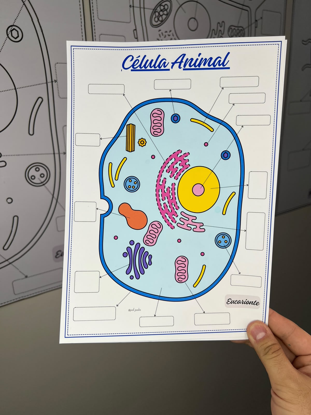 Células - Cartazes para Colorir - Imagem 11