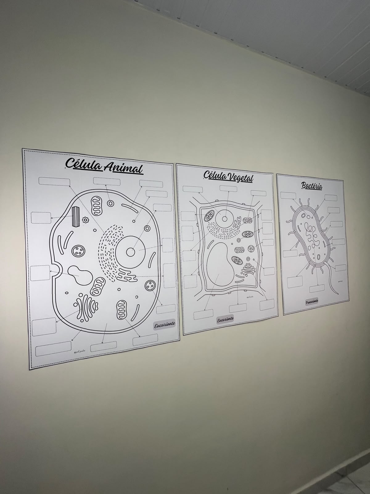 Células - Cartazes para Colorir - Imagem 9