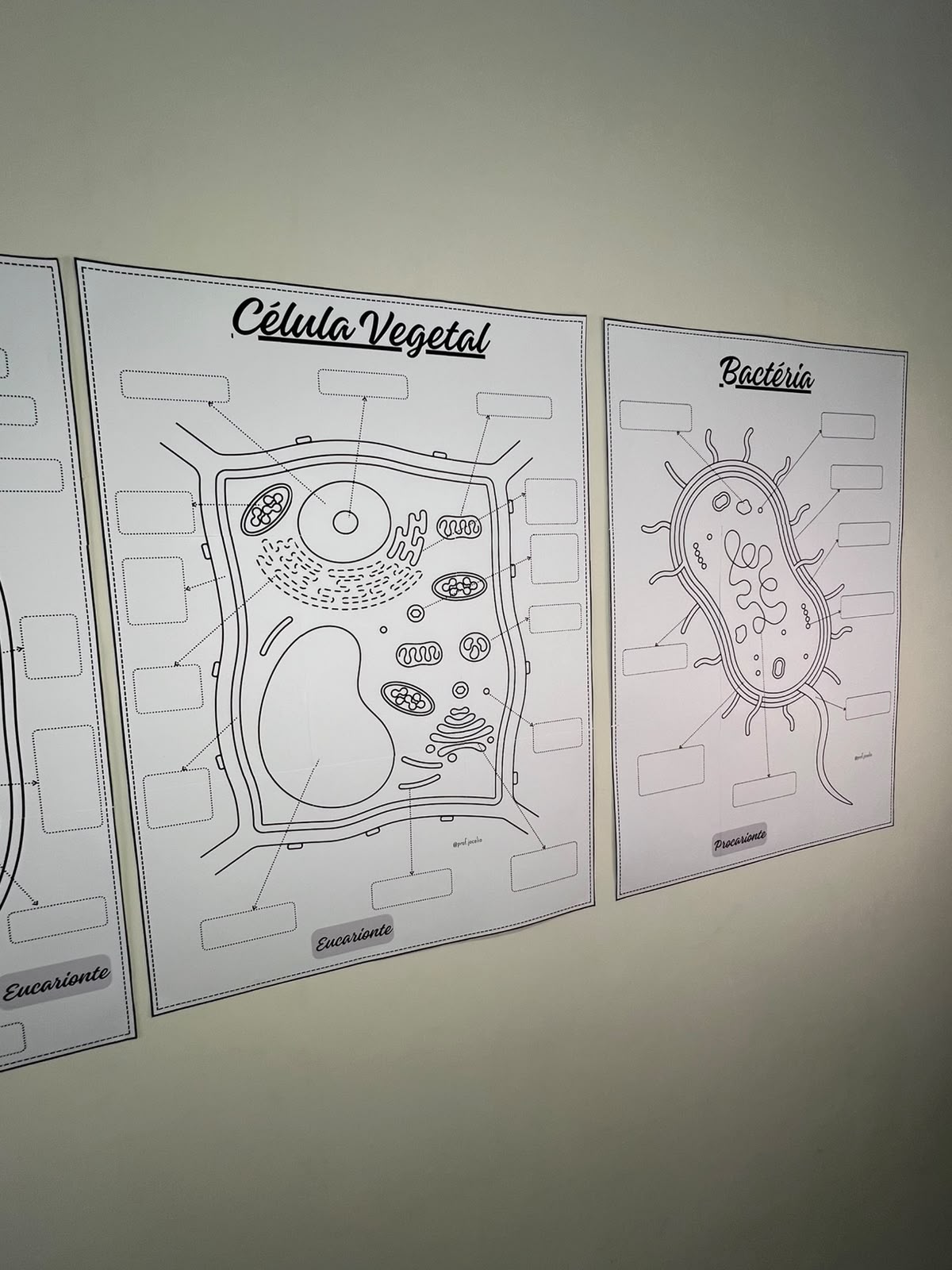 Células - Cartazes para Colorir - Imagem 8
