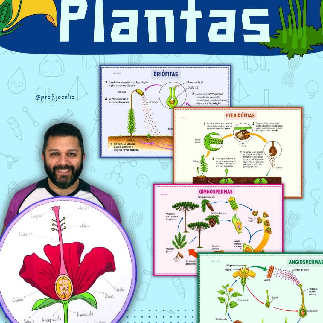 Flor e Ciclo Reprodutivo das Plantas