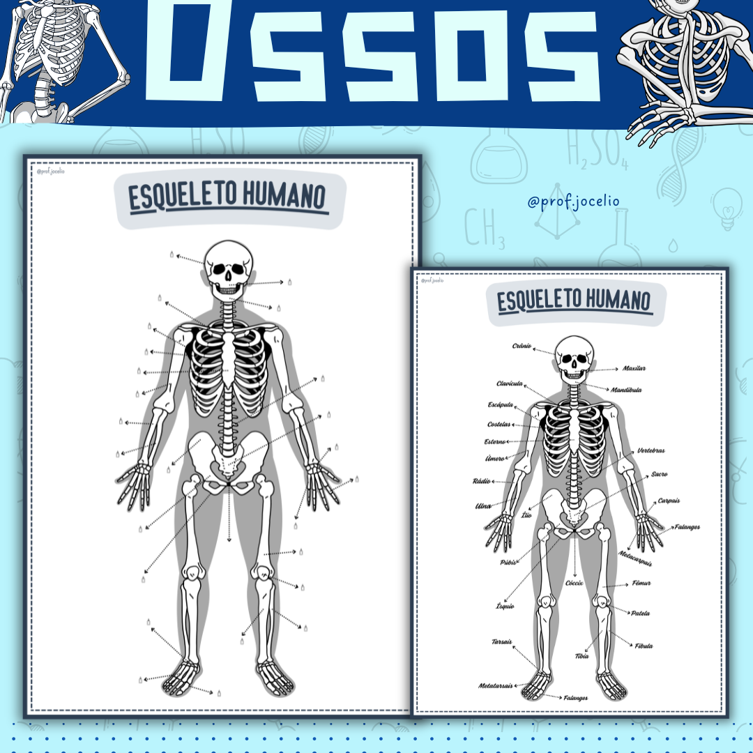 Identificando Ossos